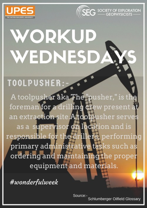 #Workup Wednesday’s Edition#1 #Seg #wonderfulweek