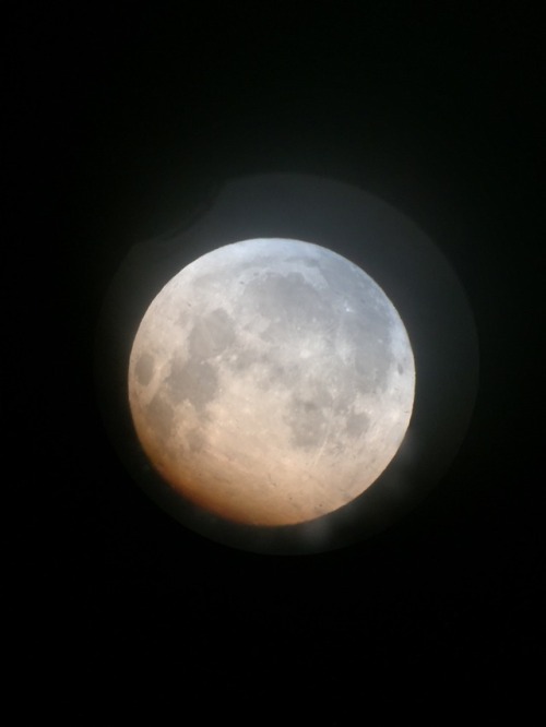 mistcreature: i saw the moon through a telescope tonight and she looked as radiant as ever ✨
