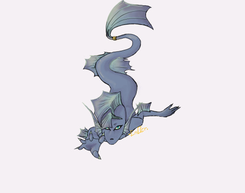 A MER WaO