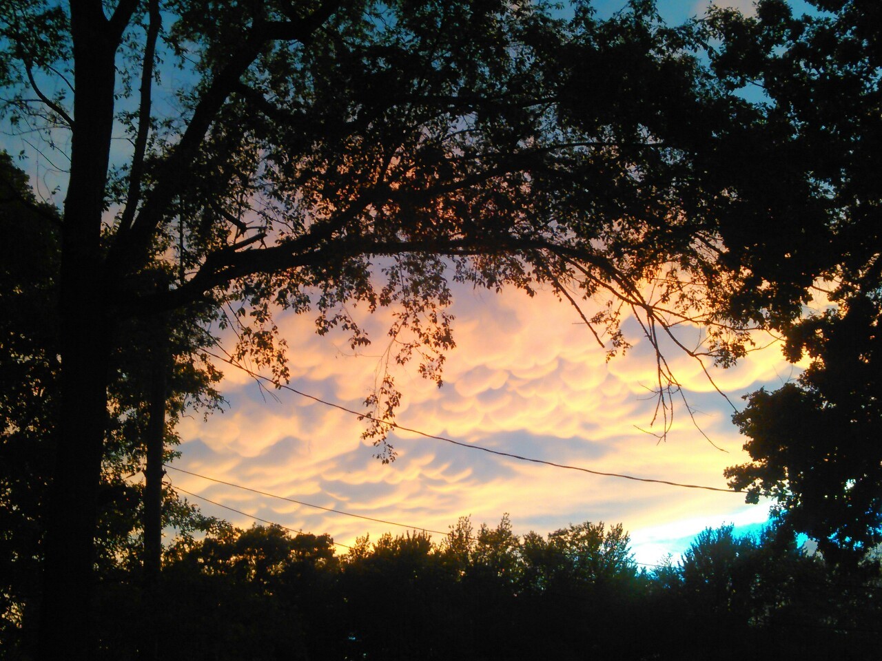 fvckingoceans:  Pretty clouds today