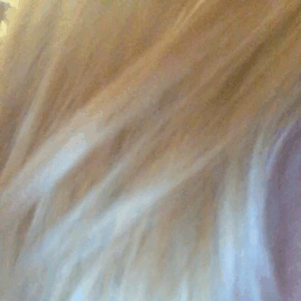 bellamontiell:The way I suck m'y neighbors