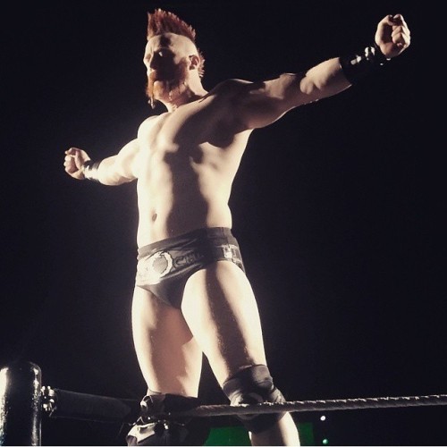 Sheamus adult photos