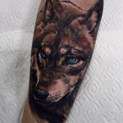 tattotodesing:  Tattoo dog head with blue eyes  - http://goo.gl/0oN8lF  LONEWOLF