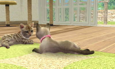 arrowsforpumpkins:I used Nintendogs to adopt two kittens and named them Kirjava (the spotted tabby) 