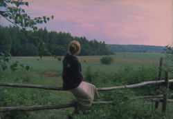 lambentmaterial:  The Mirror. Andrei Tarkovsky.