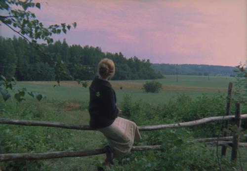 lambentmaterial:  The Mirror. Andrei Tarkovsky. 1975.