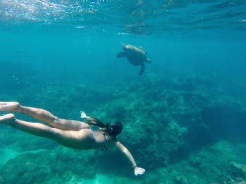 mariahopalek:  swimming lessons 