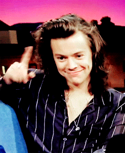 James: Didn’t someone throw a dildo on stage?  Harry: That was me  Liam: Literally