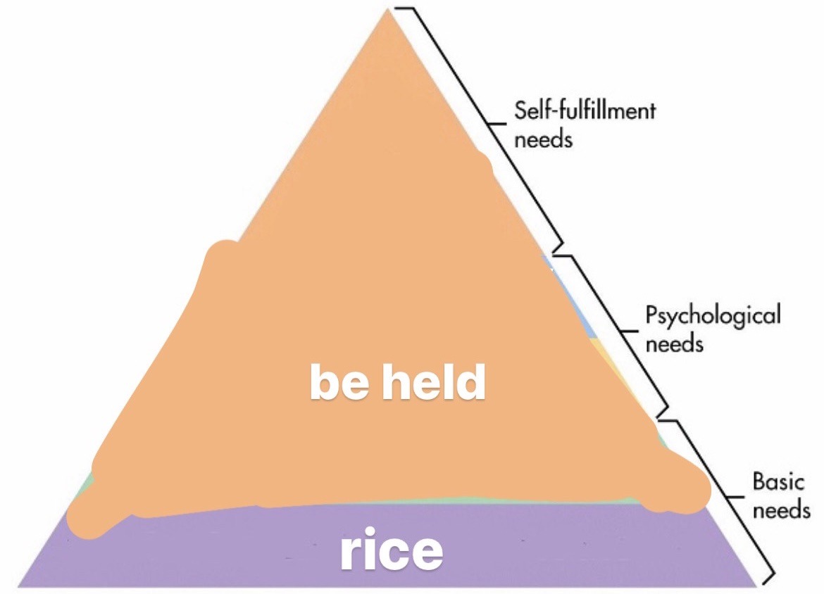 schaduwen-deactivated20220817:made a more accurate hierarchy of (my) needs