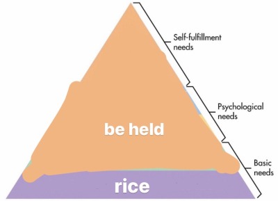 schaduwen-deactivated20220817:made a more accurate hierarchy of (my) needs