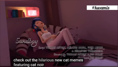 fortunatefires:Marinette looks up Chat Noir memes in her spare time, this is the content I signed up