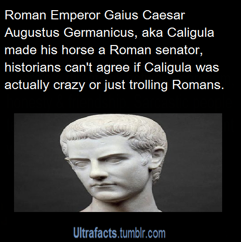 fattyatomicmutant: tracyalexander:  misandry-mermaid:  haiweewicci:  ultrafacts:  Entire compilation of Roman Emperor facts Sources: 1 2 3 4 5 6 7 8 9 10Follow Ultrafacts for more facts  That fourteen year old emperor was Elagabalus.  You should really