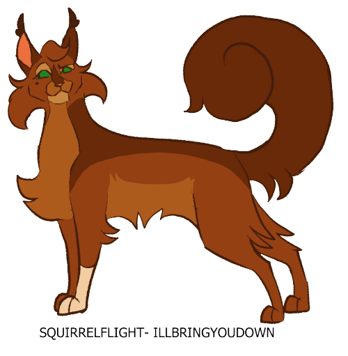 Squirrelflight!