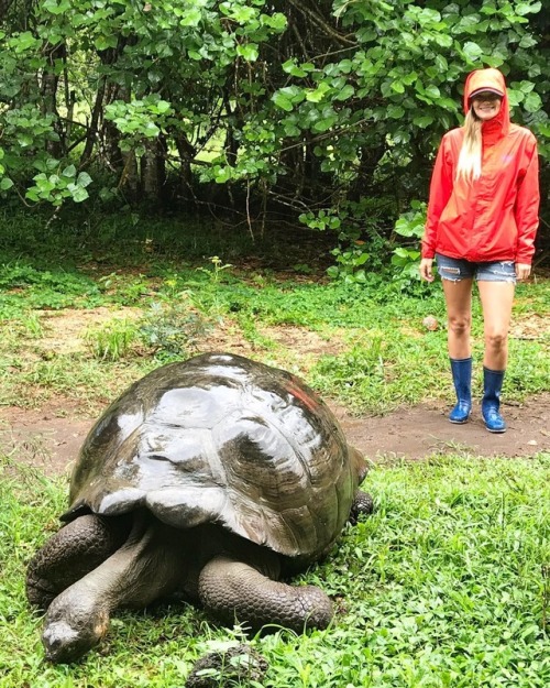 Buenos Días• • • • • #galapagos #galapagosislands #santacruz #santacruzisland #elchato #elchatores