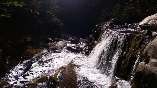 Secluded Streams Laurel Fork Wilderness Area Unnamed Falls