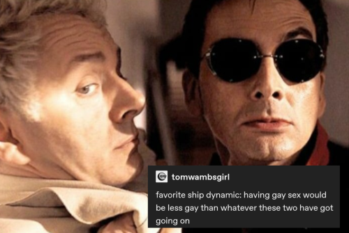 Close-up of Crowley and Aziraphale's faces, eyebrows raised and looking towards us. Crowleys fists are balled in aziraphale's lapels and their faces are mere inches apart + text from user tomwambsgirl that reads "favorite ship dynamic: having gay sex would be less gay than whatever these two have got going on"