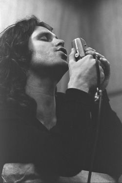 babeimgonnaleaveu:  Jim Morrison at T.T.G.