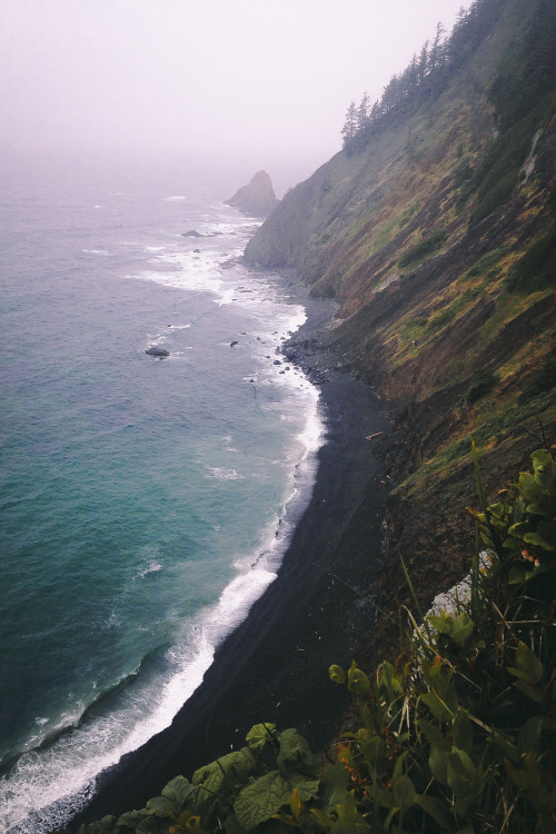 leaberphotos:“Wherever you go, go with all your heart.” ― ConfuciusEcola State Park, Oregon (May 28t