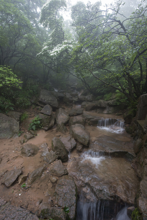 90377: Huangshan 黄山 2016 by Peter Lee