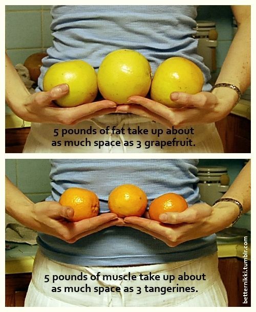 mizubear:  Just some post about fat.