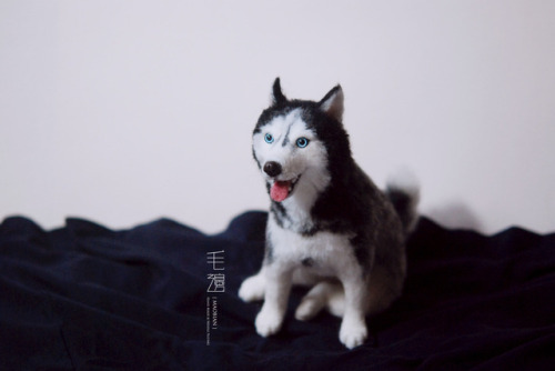 ▋ Husky ( custom-made order )Sculpture approximately 12 x 17 x 19 cm 