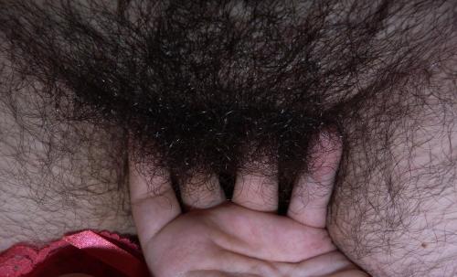 http://velter1.tumblr.com/post/101279924717