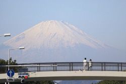 florels:  Fuji Mountain, Japan  hoooolllyyyy