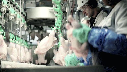 onlylolgifs:  Chicken McNuggets