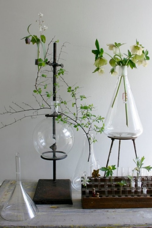 uncovet:
“ In the last year or so, we’ve seen a lot of new & cool plant decor techniques like above. If you’re a plant novice or too busy to water frequently, buy these plant kits that literally water themselves. Surround them with easy to maintain...