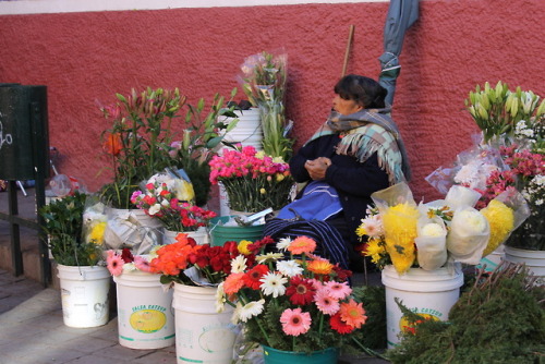 michel-flores-tavizon: Guanajuato, 2017.