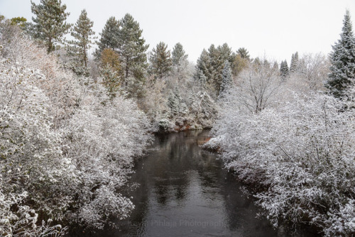 Fresh Snowfall.