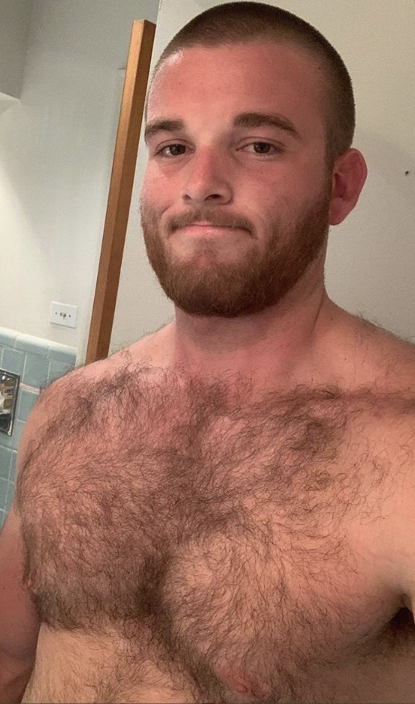 thefurryforest: