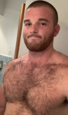 thefurryforest: