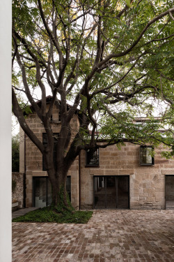 architorturedsouls:  Italianate House / Renato D'Ettore Architectsph: Simone Bossi