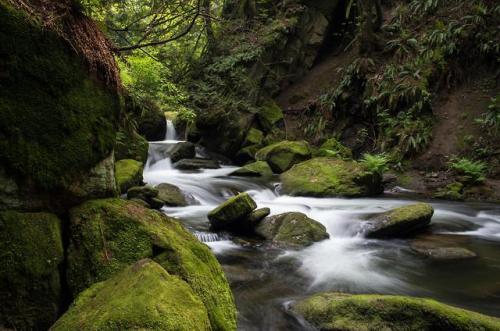 amazinglybeautifulphotography - From a spot at Whatcom Creek,...