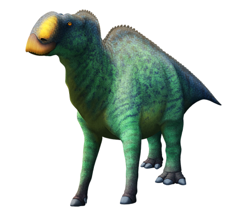 Aquilarhinus palimentus here was an early hadrosaurid dinosaur known from the Late Cretaceous of Tex