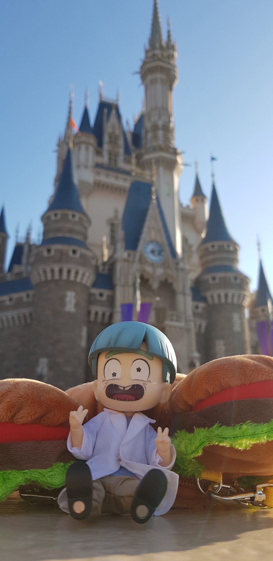 We Go To Disneyland.