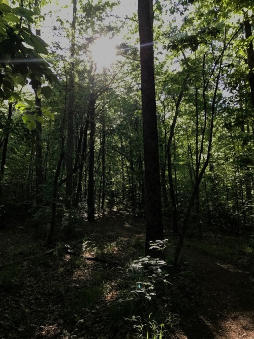 Beautiful spring afternoon at gold branch with my mom and dogs 4/25/17