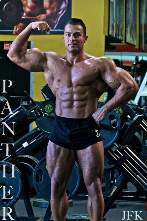 cdnlifter27:  Johan Fehd Karouani 