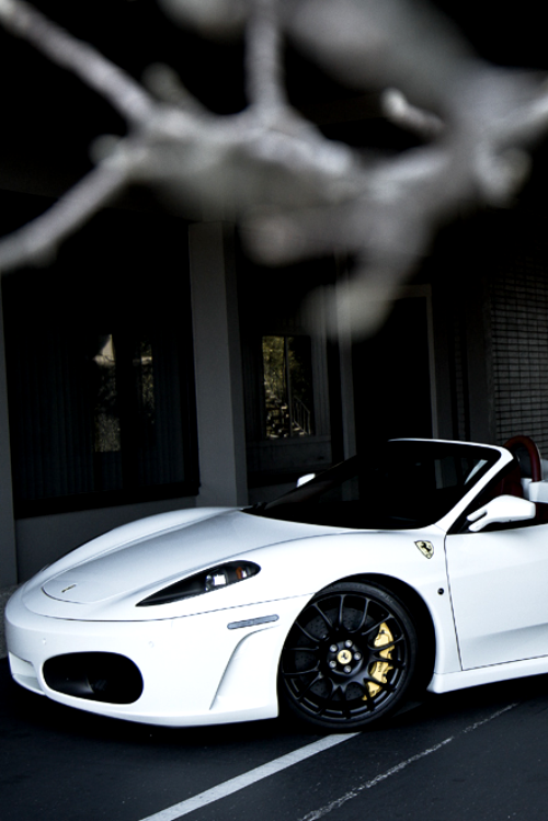 se7ensinz:  Lurkin’ | [Ferrari F430] 
