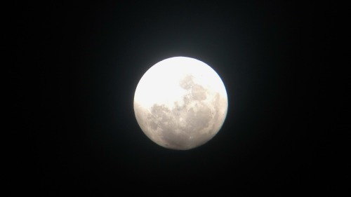 zatchh:the moon is the closest to the earth it has been since 1948 tonight, so i thought i’d s