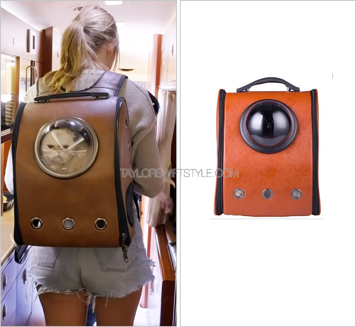 Taylor Swift Shows Off Her Cat Backpack in Miss Americana Netflix Docu