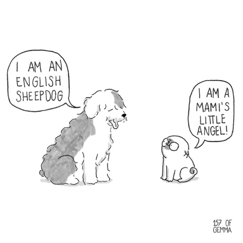 boredpanda:    20+ Adorable Comics That Hilariously Sum Up What It’s Like Living With A Dog (New Pics)  