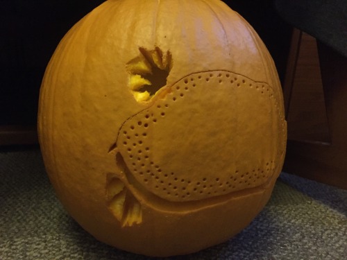 john-laurens:  So I carved one of John Laurens’s turtles onto a pumpkin 