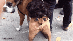 funnyordie:  Celebrate America’s Independence With 19 GIFs Of Random Butt StuffBecause freedom, that’s why.See more here.