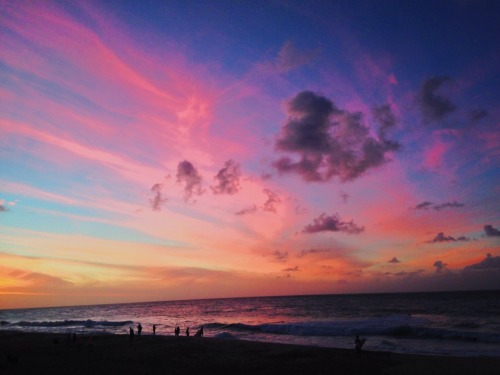 adam-hawaii:North shore, Oahu xx