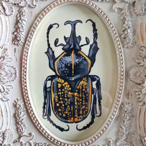 Beetles! Acrylic on paper