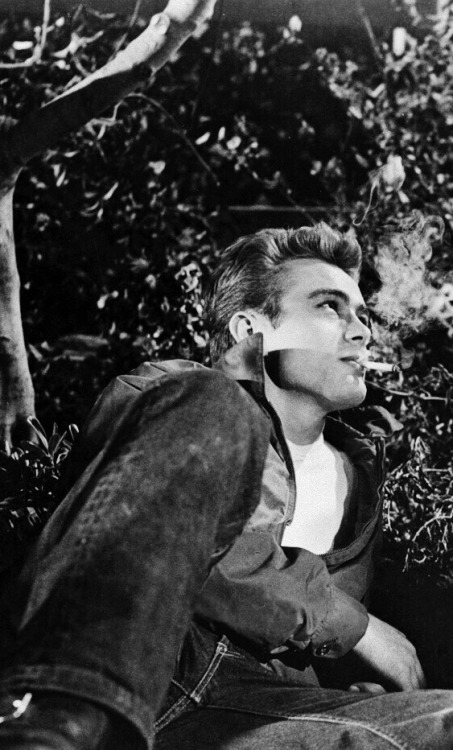 meinthefifties: James Dean in “Rebel Without a Cause” (1955)