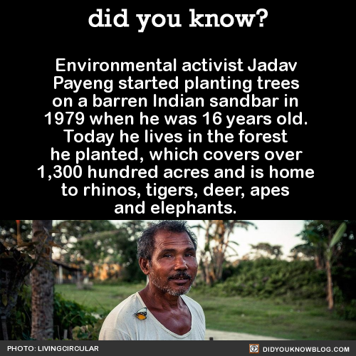 misterlemonzafterlife:towerofhealththree:did-you-know:Environmental activist Jadav Payeng started planting trees on a barren Indian sandbar in 1979 when he was 16 years old. Today he lives in the forest he planted, which covers over 1,300 hundred acres