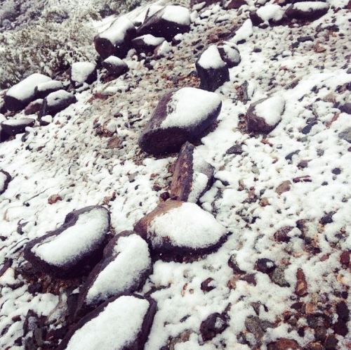 apollo-pop:  SNOW IN THE DESERT! This is the first time I’ve ever seen snow in my hometown and I’m so happy milkrainn and I got to experience it together with our butthole cat! * w*